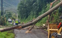 Intempéries : Les Raromatai épargnées