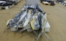 Bonne pêche en 2012 pour la Polynésie, mais peut encore mieux faire