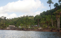 Guyane: une adolescente tuée dans l'effondrement d'un abri en bois et tôle