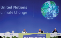 Pour le climat, une centaine de pays taclent le méthane et protègent les forêts