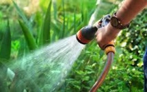 Bricoler, jardiner, des activités bonne pour le coeur