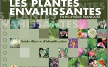 Veille et intervention contre les espèces envahissantes : Ateliers de travail du 28 au 30 octobre
