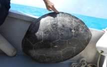 Délits environnementaux: Les peines de prison enfin applicables