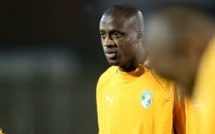 Le footballeur Yaya Touré s'engage pour la survie des éléphants