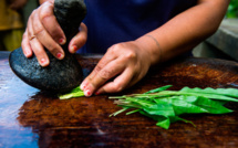 Un dialogue pour la réglementation de l'usage des plantes