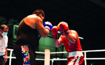 Le noble art sacre ses champions