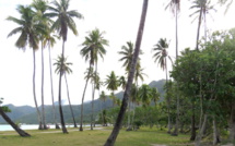 ​Une couronne pour protéger le joyau Moorea