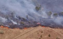 Nouvelle-Calédonie: plus de 2.000 hectares de savane brûlés en deux mois