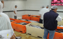 Encore une subvention exceptionnelle pour la SEM port de pêche