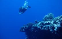 Fête de la Science : l’eau dans tous ses états