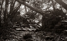 Fautaua : le cadavre est celui d’un jeune Japonais