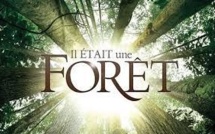 "Il était une forêt", un film au coeur d'une campagne plus large pour les forêts