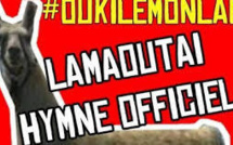 Une star est née : Serge le lama, après le "buzz", le marketing