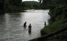 Nouvelle attaque de crocodile aux iles Salomon