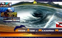 Une association polynésienne lauréate du dispositif de soutien de la Fondation Nicolas Hulot