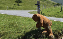 Un chasseur blessé tue une ourse: un accident qui questionne la cohabititon