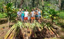 Matarii i ni'a à Moorea, entre ciel et terre