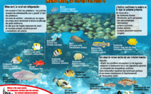 Tout savoir sur les semaines de la science