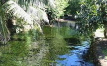 Faa'a: Par jalousie, elle prétend avoir trouvé le cadavre d'une jeune femme dans un ruisseau