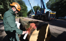 "La forêt est notre avenir": les employés de l'ONF réclament des bras et une vision