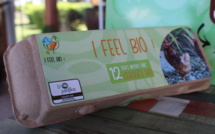 Les premiers œufs polynésiens certifiés bio