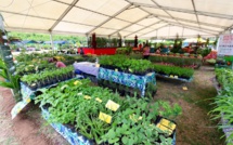 ​La "mini" foire agricole jusqu'au 5 décembre