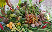 Levée des pléiades : le temps de l’abondance