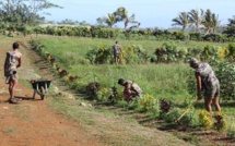 Le RSMA ambitionne de former plus de 500 jeunes par an