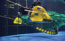 Des filets de pêche intelligents pour réduire les captures inutiles