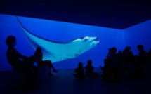 Le Fare Natura de Moorea a reçu son 10 000e visiteur