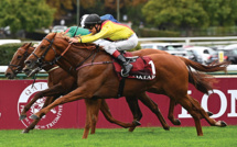 Coup de filet dans le monde du cheval pour des soupçons de dopage et de triche