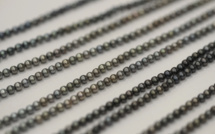 Il y a 60 ans, la greffe prenait