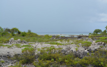 Ferme aquacole : Tahiti Nui Marine fait son entrée