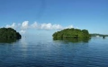 Le Pacifique au chevet de son environnement