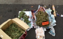 La police interpelle un mécano à la main verte