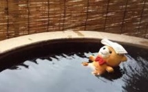 Au Japon, les ours en peluche aussi ont leur agence de voyage
