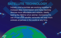 USA: des biologistes s'associent au secteur aérien pour pister les animaux