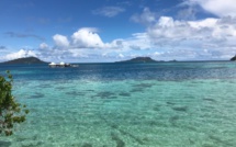 ​Attaque de requin aux Gambier