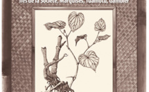 Haere Pō publie le “tout Cuzent”