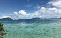 Des experts des requins à Rikitea