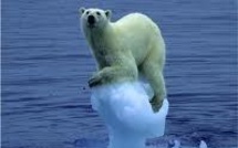 Une étude réévalue à la hausse la fonte de la banquise en Antarctique ouest