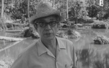 Projection Cinematamua liés à la culture polynésienne ce mercredi 11 décembre à 19h