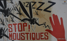La grande chasse aux moustiques est ouverte en Polynésie
