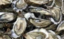 Monaco: des huîtres high tech affinées au pied du Rocher