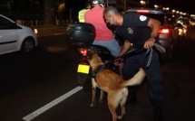 Réveillon agité pour les forces de l'ordre