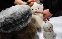 Robot chaton affectueux et masques anti-Covid au salon annuel des technologies