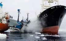 Départ des navires de Sea Shepherd à la poursuite des baleiniers japonais