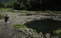 ​Extraction sauvage et (presque) sans conséquence à Faaone