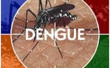 Alerte à la dengue à Fidji