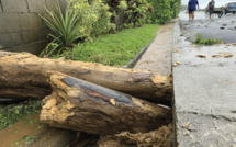 La Société dans le rouge